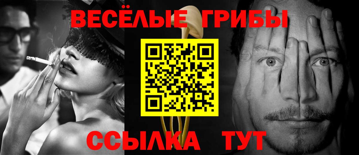 Псилоцибиновые грибы MAGIC MUSHROOMS  Вход с VPN  где купить наркоту  Богородск 